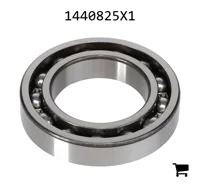 AGCO 1440825X1 Подшипник 6009