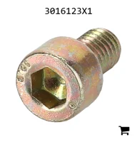 AGCO 3016123X1 Винт с цилиндрической головкой и шестигранным углублением