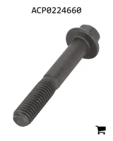 AGCO ACP0224660 Болт