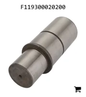 AGCO F119300020200 Болт