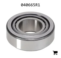 AGCO 040665R1 Роликовый подшипник