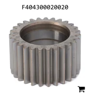 AGCO F404300020020 Шестерня