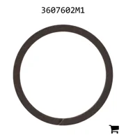 AGCO 3607602M1 Уплотнительное кольцо