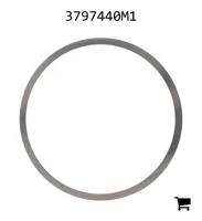 AGCO 3797440M1 Регулировочная шайба