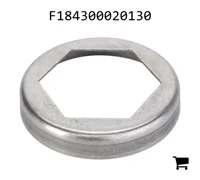 AGCO F184300020130 Стопорная пластина