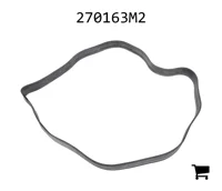 AGCO 270163M2 Уплотнение