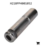 AGCO H218PP4001052 Вставной штифт
