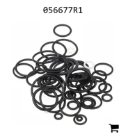 AGCO 056677R1 Комплект уплотнений