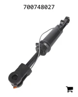 AGCO 700748027 Гидроцилиндр