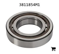 AGCO 3811854M1 Роликовый подшипник