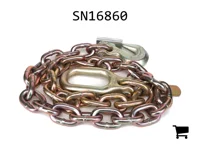 AGCO SN16860 Цепь