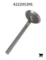 AGCO 4222952M1 Впускной клапан