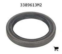 AGCO 3389613M2 Уплотнение