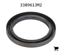 AGCO 3389613M2 Уплотнение