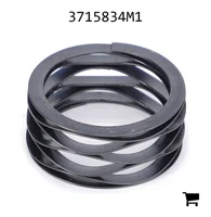 AGCO 3715834M1 Пружина