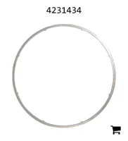 AGCO 4231434 Шайба