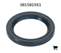 AGCO 3015019X1 Радиальное уплотнительное кольцо