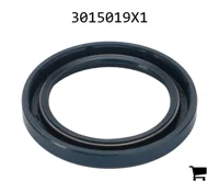 AGCO 3015019X1 Радиальное уплотнительное кольцо