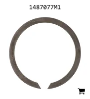 AGCO 1487077M1 Кольцо
