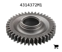 AGCO 4314372M1 Шестерня