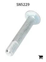 AGCO SN5229 Болт каретки