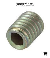 AGCO 3009711X1 Установочный винт с шестигранной головкой