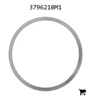 AGCO 3796210M1 Шайба