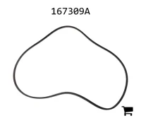 AGCO 167309A Кольцо