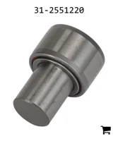AGCO 31-2551220 Опорный ролик кулачка
