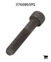 AGCO 3766065M1 Винт