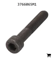 AGCO 3766065M1 Винт