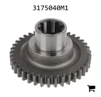 AGCO 3175040M1 Шестерня