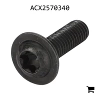 AGCO ACX2570340 Винт с головкой Torx