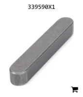 AGCO 339590X1 Параллельный шпоночный паз