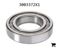 AGCO 3003372X1 Цилиндрический роликовый радиальный подшипник