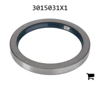 AGCO 3015031X1 Радиальное уплотнительное кольцо