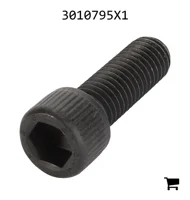 AGCO 3010795X1 Винт с цилиндрической головкой и шестигранным углублением
