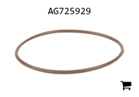 AGCO AG725929 Прокладка