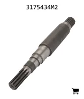 AGCO 3175434M2 Ось