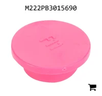 AGCO M222PB3015690 Заглушка