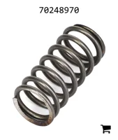 AGCO 70248970 Пружина