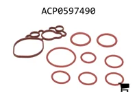 AGCO ACP0597490 Ремкомплект