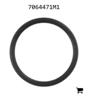 AGCO 7064471M1 Уплотнительное кольцо