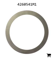 AGCO 4260541M1 Шайба