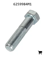 AGCO 6259984M1 Болт с шестигранной головкой