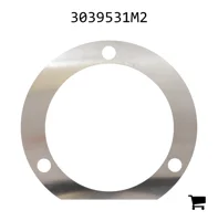 AGCO 3039531M2 Регулировочная шайба