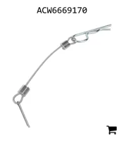 AGCO ACW6669170 Палец