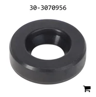 AGCO 30-3070956 Уплотнение