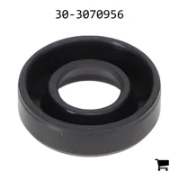 AGCO 30-3070956 Уплотнение