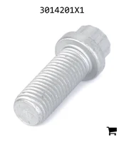 AGCO 3014201X1 Винт с 12-гранной головкой с фланцем